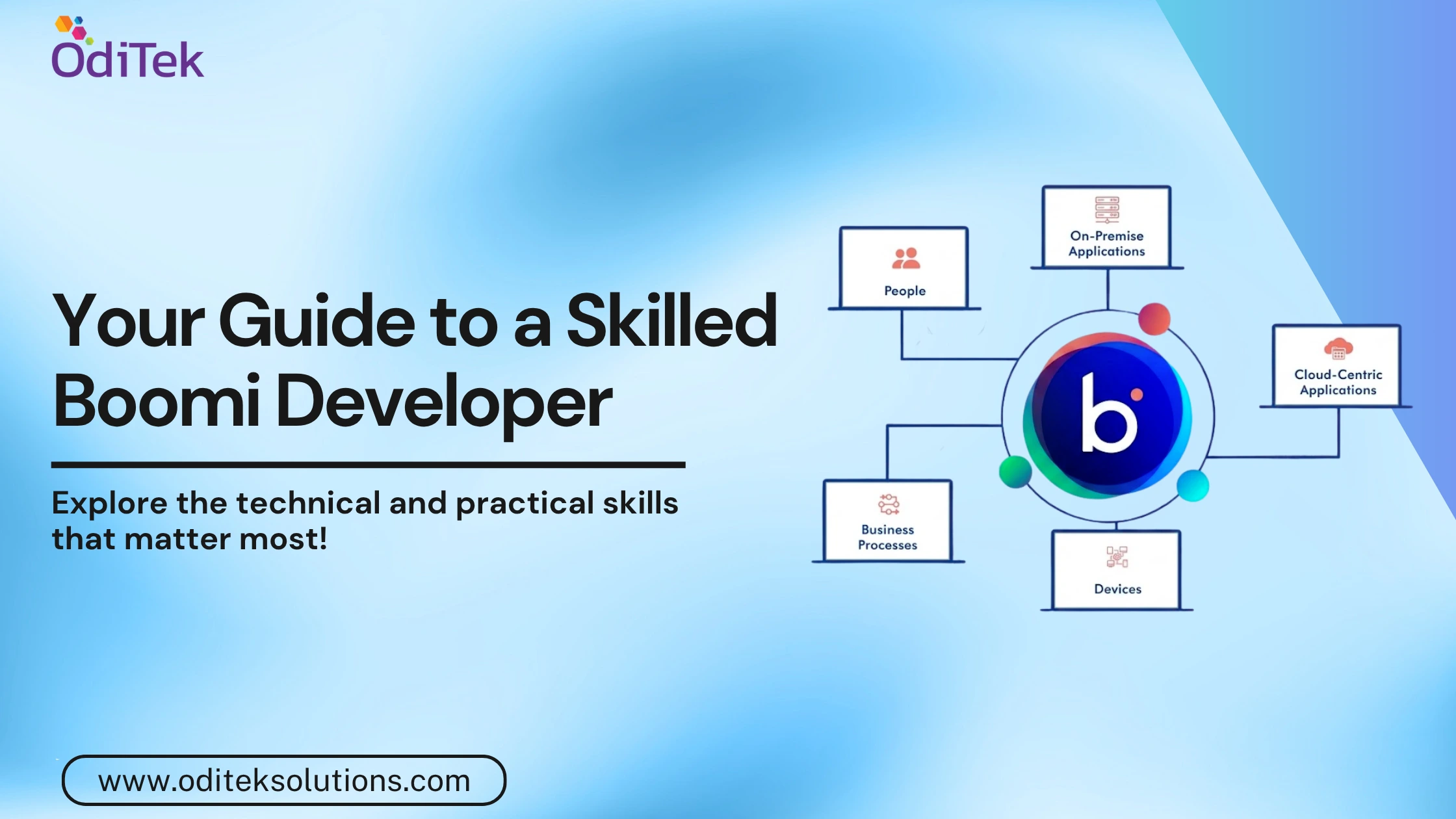 Boomi Developer