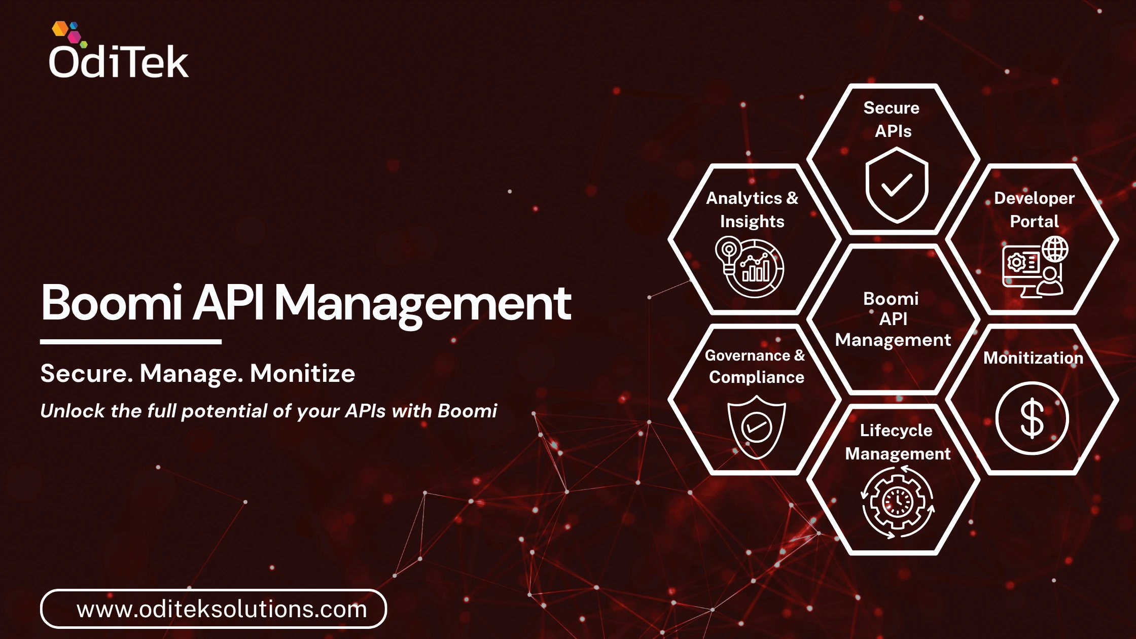Boomi API Management