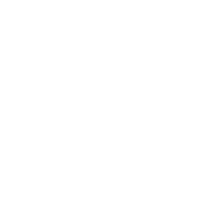 Java-Script-WHite