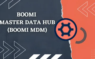 Boomi Master Data Hub: A Smart Way to Data Management