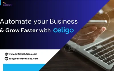 Achieve Productivity and Data Harmony with Celigo