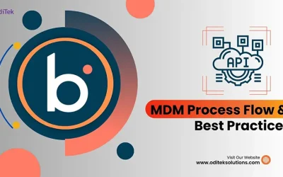 Mastering Data: Unveiling MDM Best Practices for Business Sucess!
