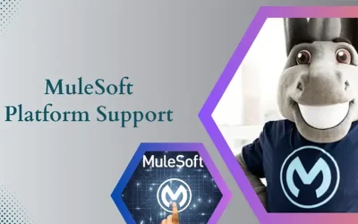 Make Your Cloud Integrations Easy with MuleSoft Platform Support