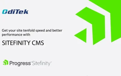 Sitefinity Development – Speed and Performance