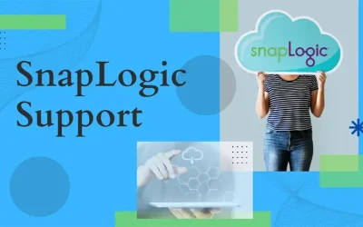 SnapLogic Support: Snaps and SnapLogic Security