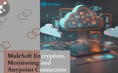 Unlocking Data Security: MuleSoft Encryption, Monitoring and Anypoint Connectors