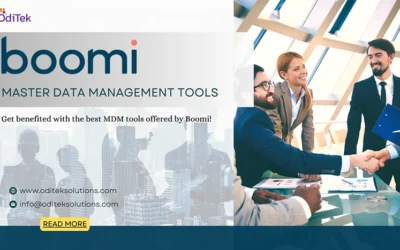 An In-Depth Look at MDM Tools Excellence Offered by Boomi!