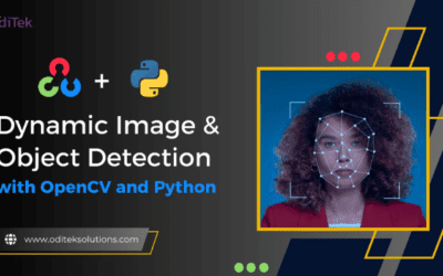 Successful Image and Object Detection with OpenCV Python API