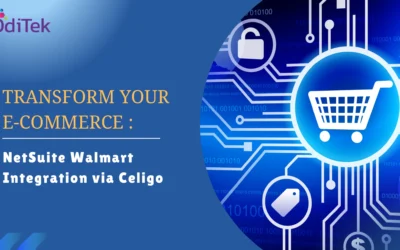 Netsuite Walmart Integration using Celigo