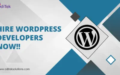Hire the Perfect WordPress Developer for Your Project