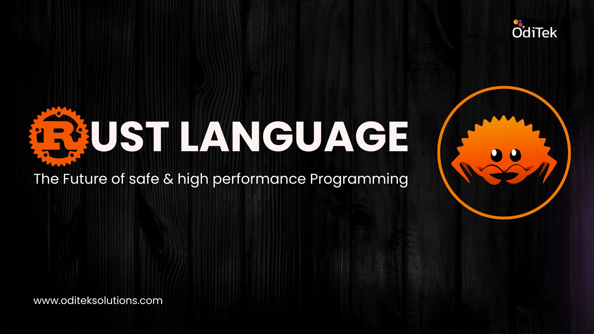 Rust Language Rust Development Language