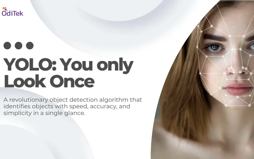 YOLO: You Only Look Once – Simplified Object Detection