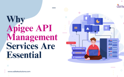 Apigee API Management Services