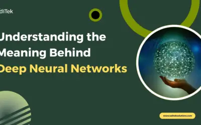 Understanding DNN: Meaning, Software, and Framework