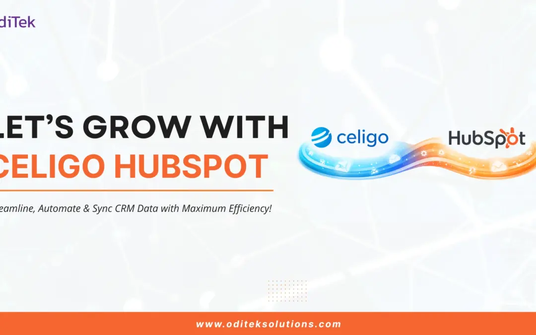 Can Celigo HubSpot Transform Your CRM Workflows?