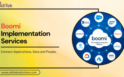 Why Boomi Implementation Services Are the Foundation of Enterprise Connectivity?
