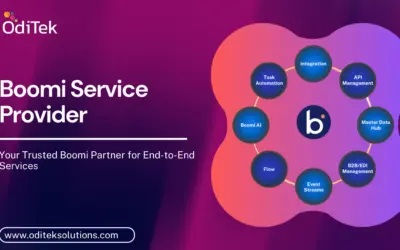 Why Choosing the Right Boomi Service Provider Matters?