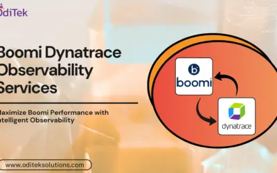 How Boomi and Dynatrace Observability Improves Integration Performance?